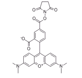 FITC-DEAE-Dextran 荧光染料标记DEAE葡聚糖