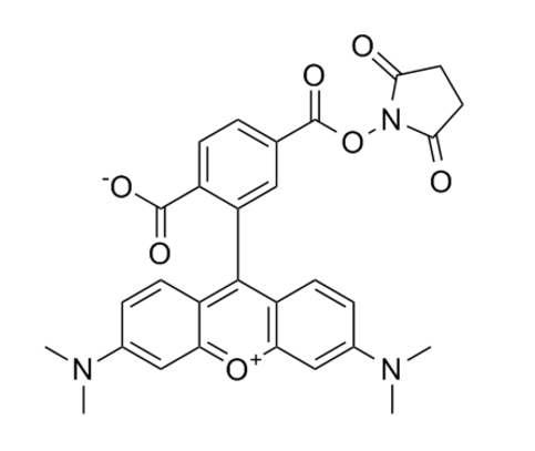 6-TAMRA,SE 6-羧基四甲基罗丹明琥珀酰亚胺酯 150810-69-8