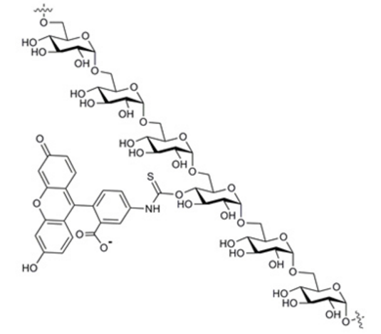 FITC-dextran  异硫氰酸荧光素标记葡聚糖