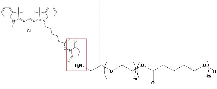 花菁染料CY3-聚乙二醇-聚乳酸-羟基乙酸共聚物
