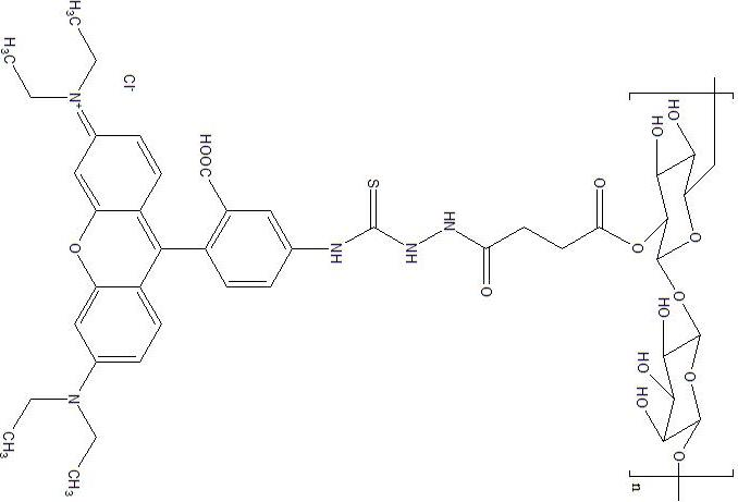 葡聚糖活性基团改性及罗丹明标记葡聚糖简述-星戈瑞荧光stargraydye