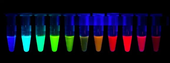 星戈瑞荧光-近红外染料bodipy的光化学物理性能