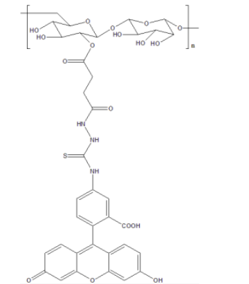 库存单品：CY7-Dextran分子量20k花菁染料标记葡聚糖