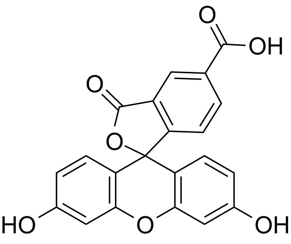 常用的荧光染料-FAM羧基荧光素及衍生物