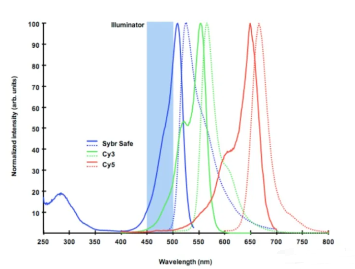 星戈瑞Sulfo-Cy5 COOH/NHS/MAL应用于生物分子标记/荧光成像