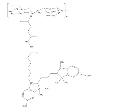 不同分子量葡聚糖标记荧光CY7-dextran/CY5-dextran/CY3-dextran星戈瑞