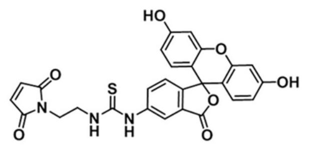 用于点击化学反应的FITC-MAL异硫氰酸荧光素-马来酰亚胺