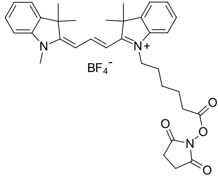 Cyanine3 NHS ester  花菁染料CY3标记活性脂