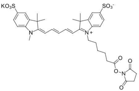 Sulfo-Cyanine5 NHS ester  水溶性花菁染料CY5标记活性脂