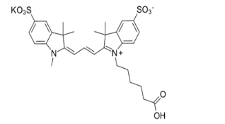 Sulfo-Cyanine3 Carboxylic acids 水溶性花菁染料CY3标记羧基 1121756-11-3
