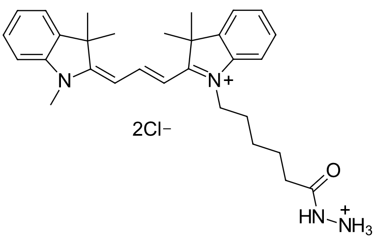 Cyanine7 hydrazide 花菁染料CY7标记酰肼  2183440-61-9
