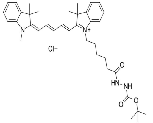 Cyanine5 BOC-hydrazide 花菁染料CY5标记基甲酸叔丁酯染料