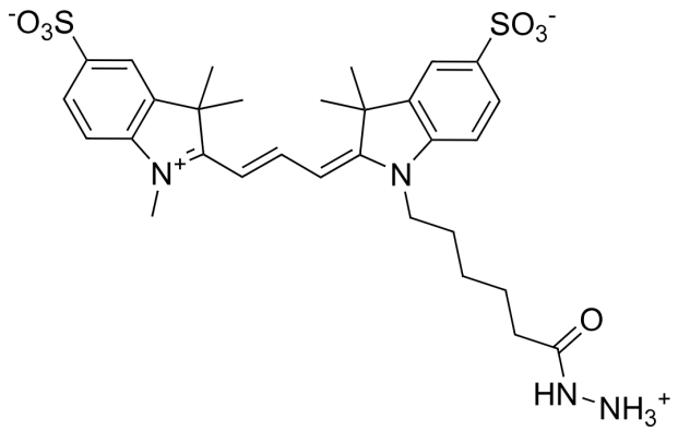 Sulfo-Cyanine3 hydrazide 水溶性花菁染料CY3标记酰肼 2144762-62-7