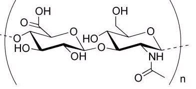 Cyanine5-Hylauronic acid 花菁染料CY5标记透明质酸