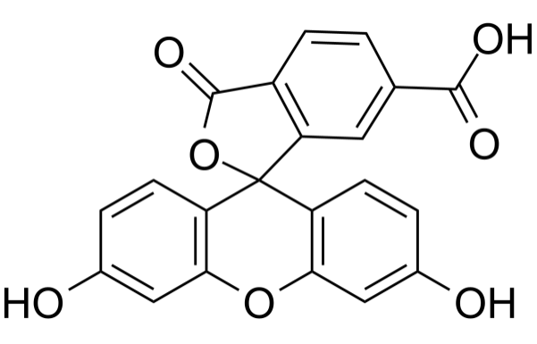 6-FAM 6-羧基荧光素 3301-79-9