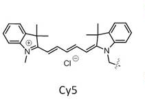 CY5单体  Cyanine5  五甲川花菁染料