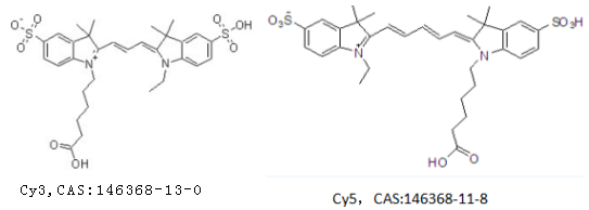 CY3-PAMAM 荧光标记PAMAM树枝状聚合物