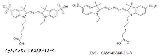 2023年冬现货更新CY3-PEG2K-TPP荧光标记定制