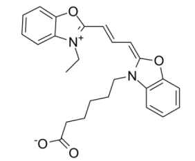 CY2单体  Cyanine2  二甲川花菁染料