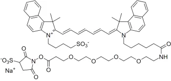 ICG-Sulfo-OSu 吲哚菁绿标记羟基磺基琥珀酰亚胺酯 1622335-40-3