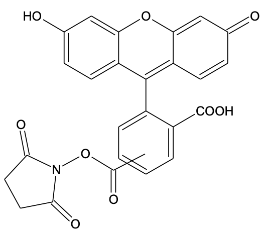 5(6)-FAM, SE  5(6)-羧基荧光素琥珀酰亚胺酯  117548-22-8