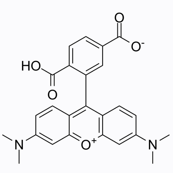 6-TAMRA 6-羧基四甲基罗丹明 91809-67-5