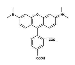 5-TAMRA  5-羧基四甲基罗丹明  91809-66-4