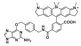 SiR700-BG 硅基罗丹明-苄基鸟嘌呤 1971086-34-6