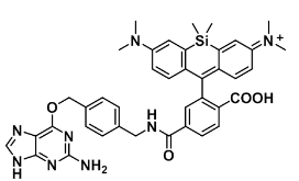 SiR650-BG 硅基罗丹明-苄基鸟嘌呤 1418275-29-2