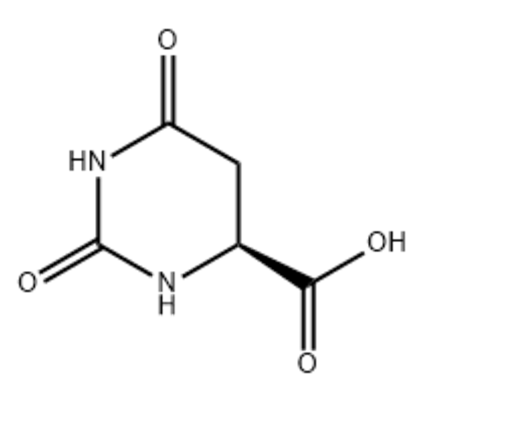 荧光标记核苷酸