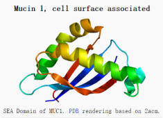 FITC-MUC1 荧光标记黏蛋白