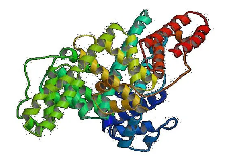 Cy3-BSA 荧光标记牛血清白蛋白