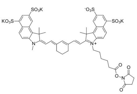 Sulfo-Cyanine7.5 NHS ester  水溶性花菁染料CY7.5标记活性脂