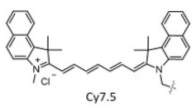 CY7.5单体 花菁染料CY7.5 Cyanine5.5