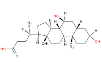 荧光标记熊去氧胆酸 UDCA