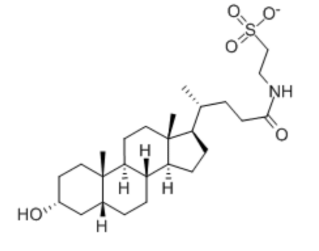 荧光标记牛磺石胆酸 TLCA