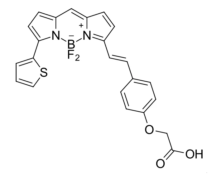 BDP 630/650 amine 氟硼二吡咯氨基 2183473-00-7
