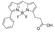 BDP R6G carboxylic acid  氟硼二吡咯羧酸  174881-57-3