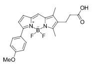 BDP TMR carboxylic acid 氟硼二吡咯羧酸