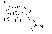 BDP FL carboxylic acid 165599-63-3  BDP FL COOH