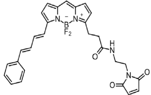 BDP 581/591 COOH 氟硼二吡咯羧酸 480999-04-0