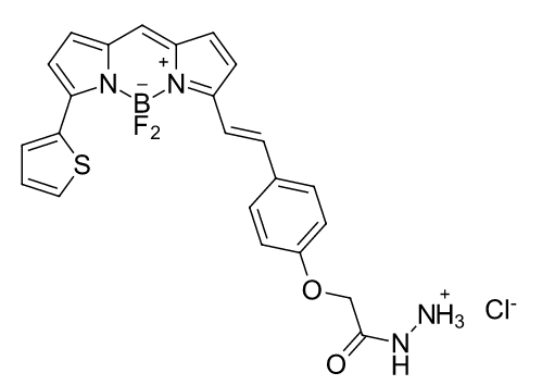 BDP 630/650 hydrazide 氟化硼二吡咯酰肼 2183473-43-8