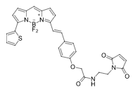 氟硼荧光染料 BDP 630/650 maleimide 2183473-31-4