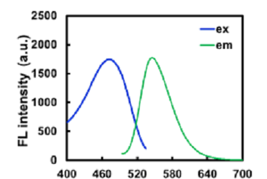 荧光标记支化聚乙烯树枝状聚合物PAMAM