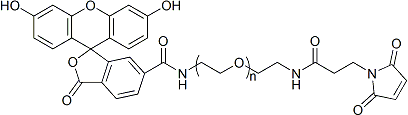 FITC-PEG-MAL  异硫氰酸荧光素-聚乙二醇-马来酰亚胺