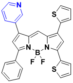BODIPY-600/633  氟化硼二吡咯600/633