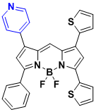 BODIPY-606/636  氟化硼二吡咯606/636