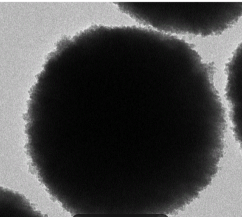 荧光标记油酸-海藻酸耦合物纳米粒OA