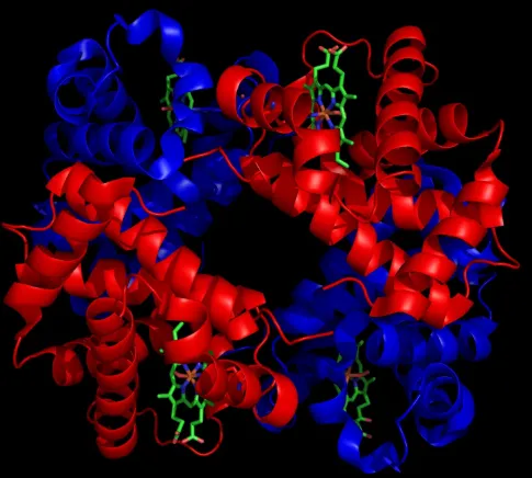 CY3-Protein G,花菁染料CY3标记链球菌蛋白G