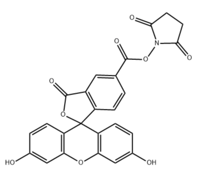 FITC-NHS  异硫氰酸荧光素-活性脂